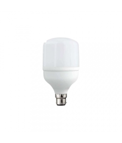 Lampe LED 65W - 7000K B22